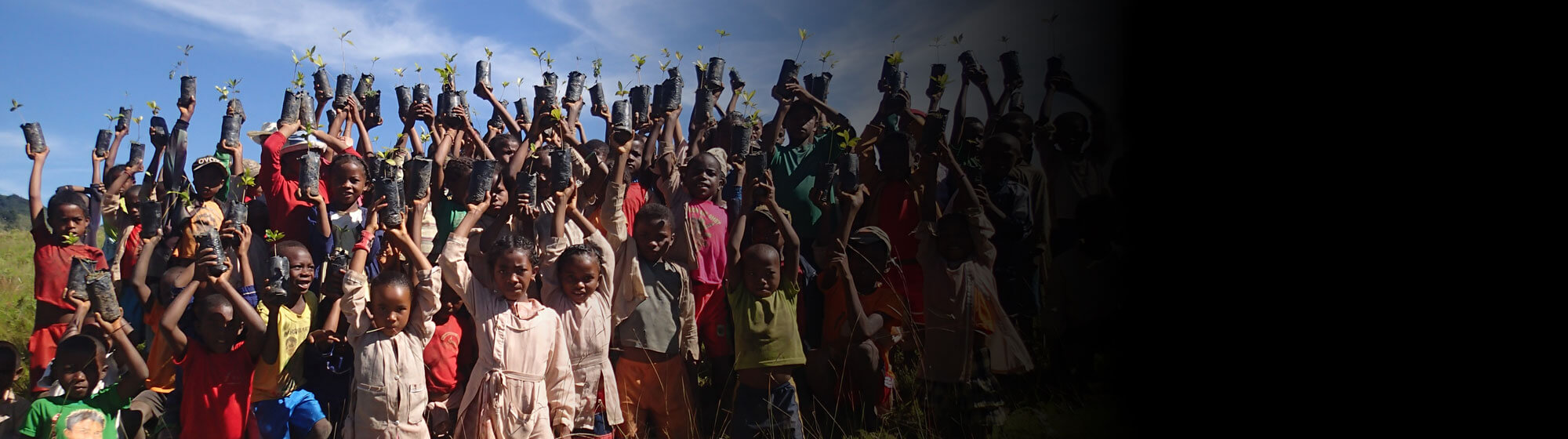 A school planting trees in Madagascar