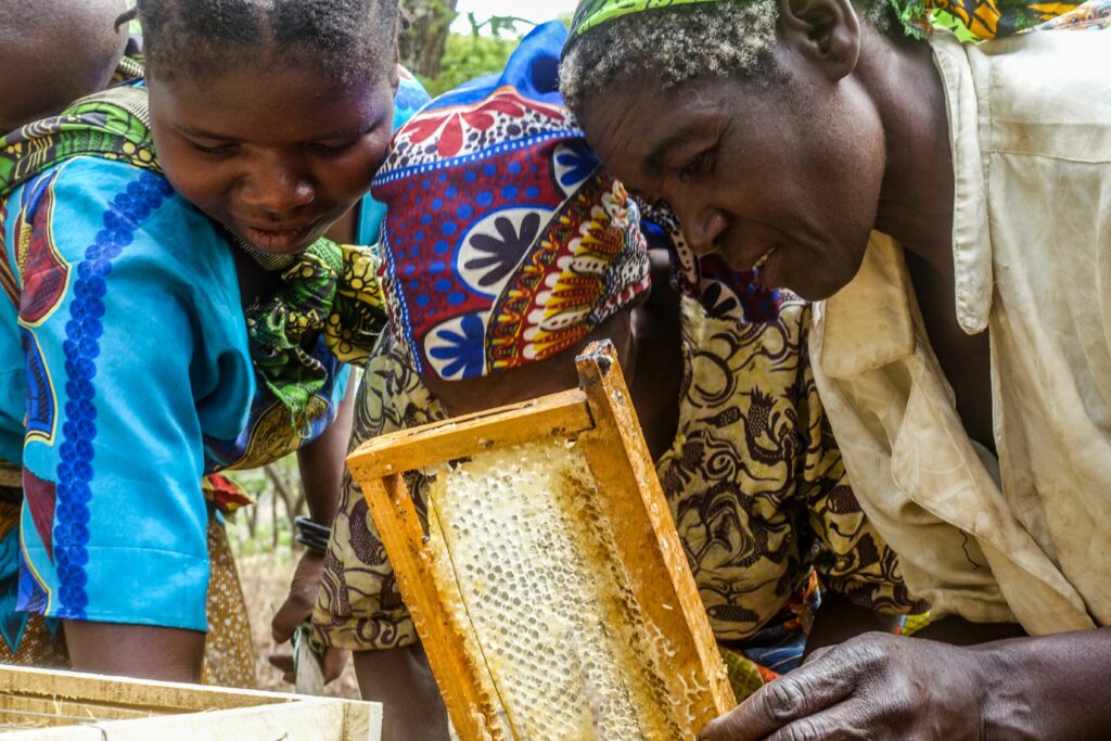 Locals in Malawi appreciating a honeycomb