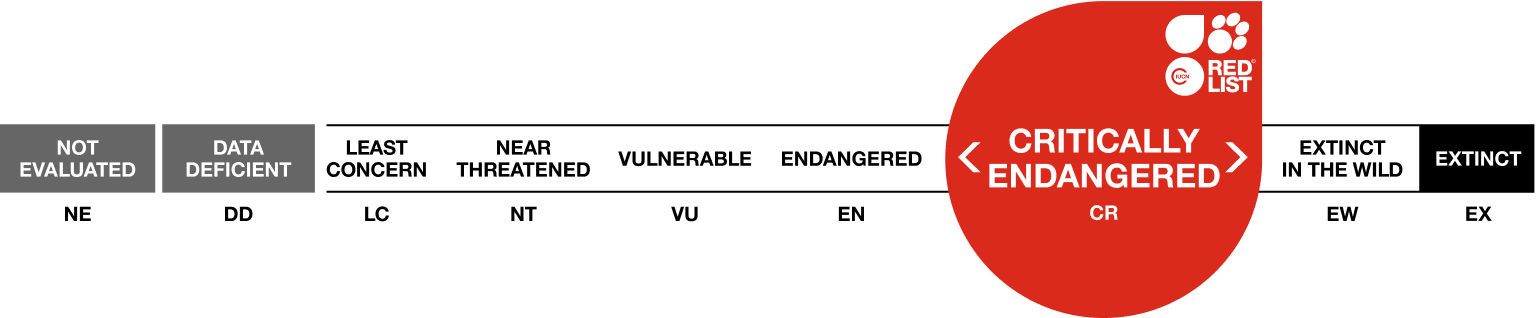 Red list scale