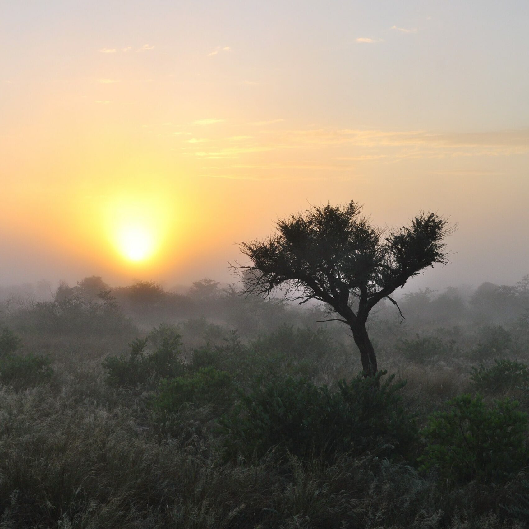 Sunrise over the Central Kalahari Game Reserve in Botswana