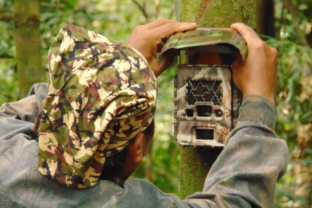 © Febri Anggriawan Widodo WWF Copy 2