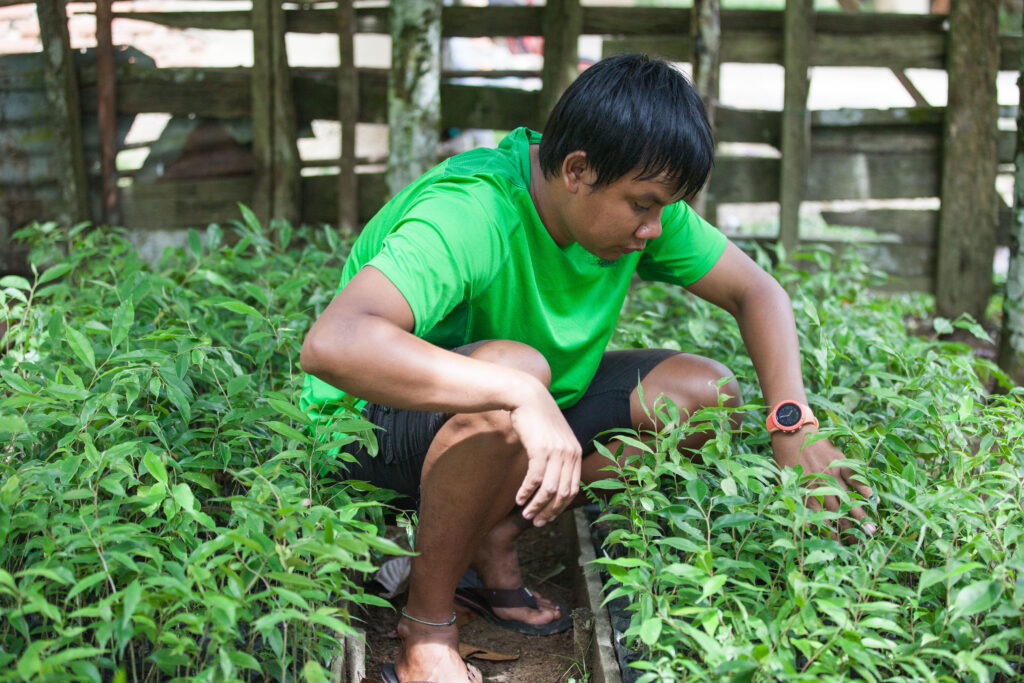 © Langgeng Arief Utomo Yapeka