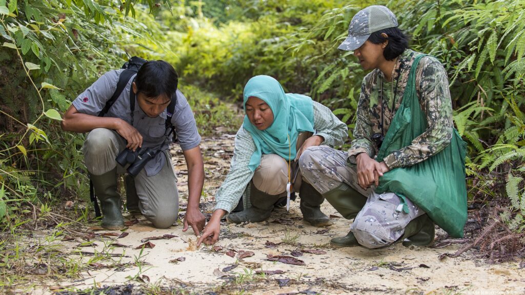 © Ola Jennersten WWF