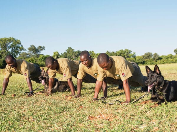 K9 Unit Exercising together