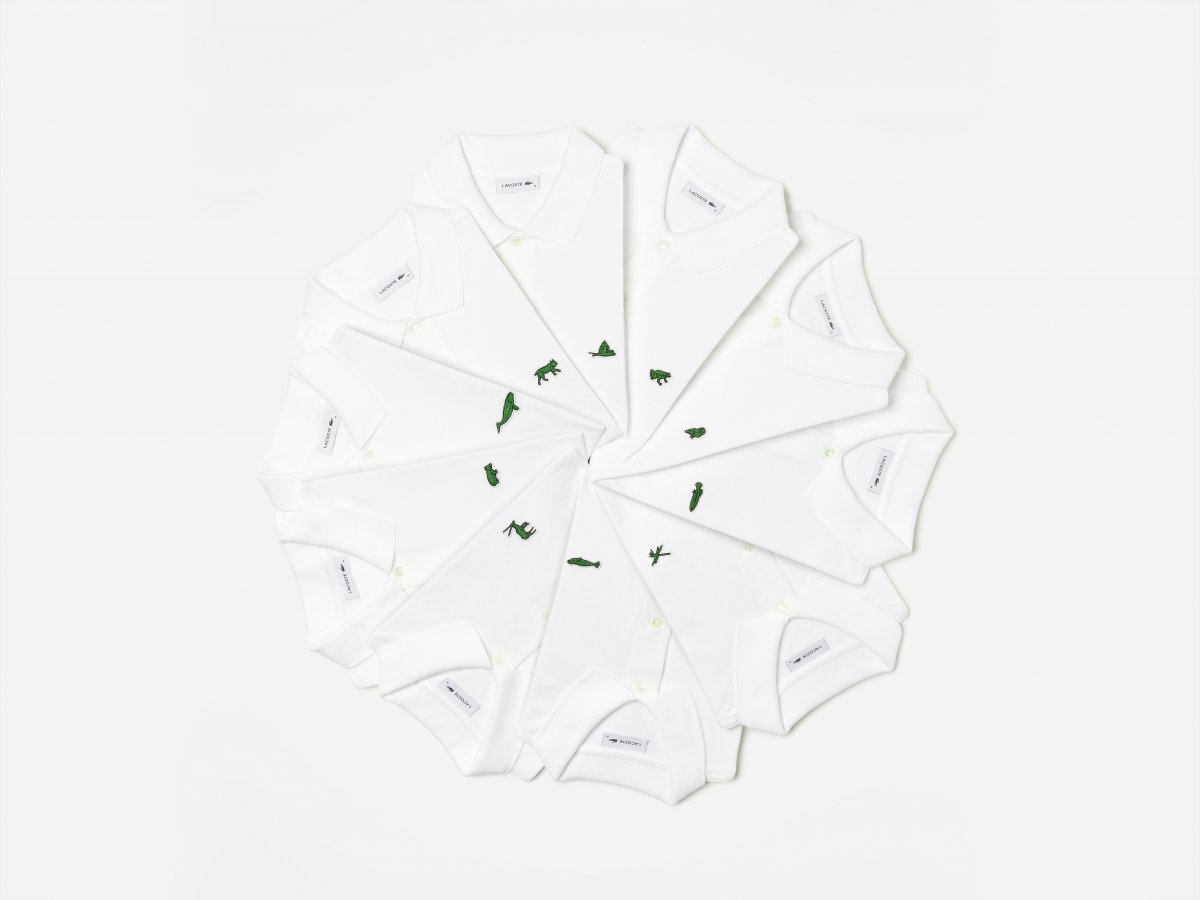save_our_pieces_compo_0078_rec