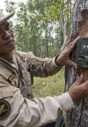 2024A 60 Rising Phoenix Co. Ltd. Cambodia Camera trapping Siem Pang 13 Jeremy Holden 1