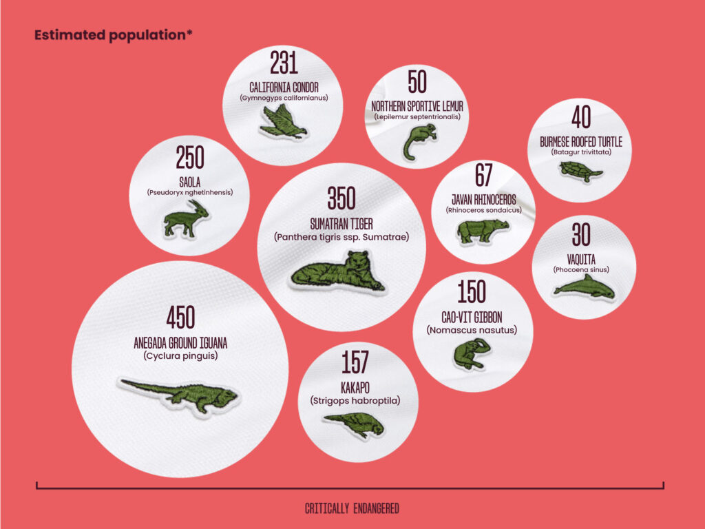 Lacoste 10 endangered clearance animals