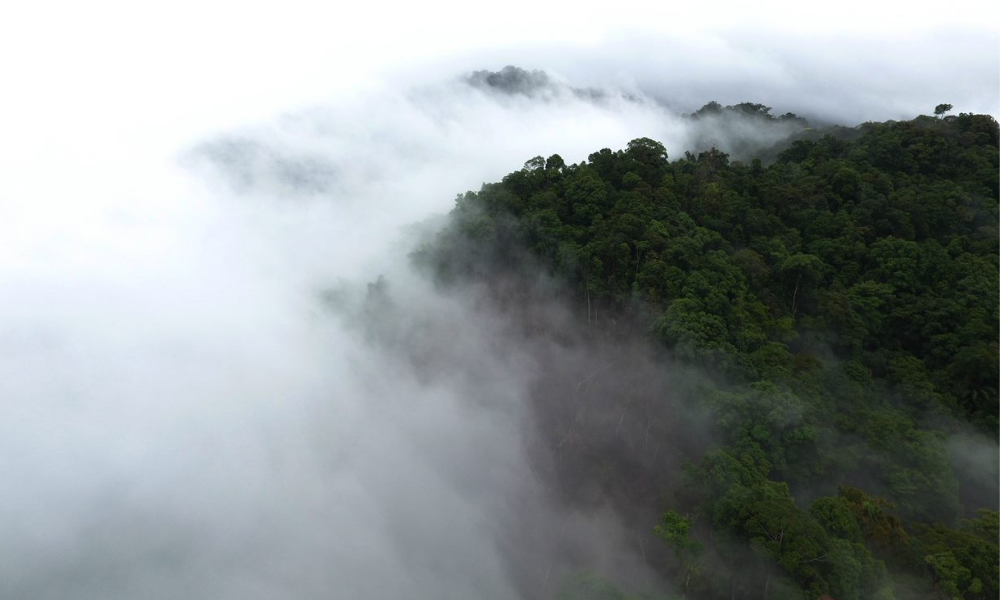 Landscape in Asia