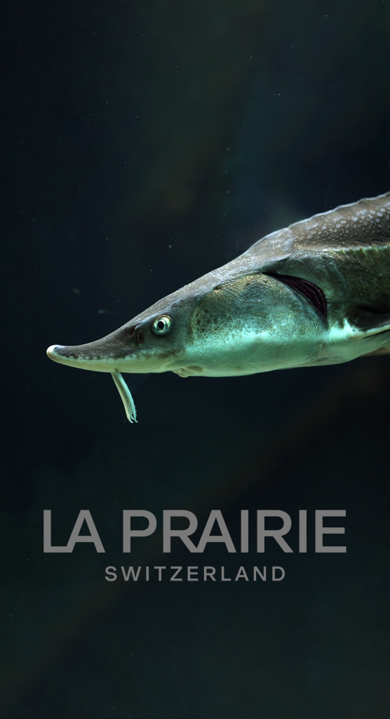 La Prairie