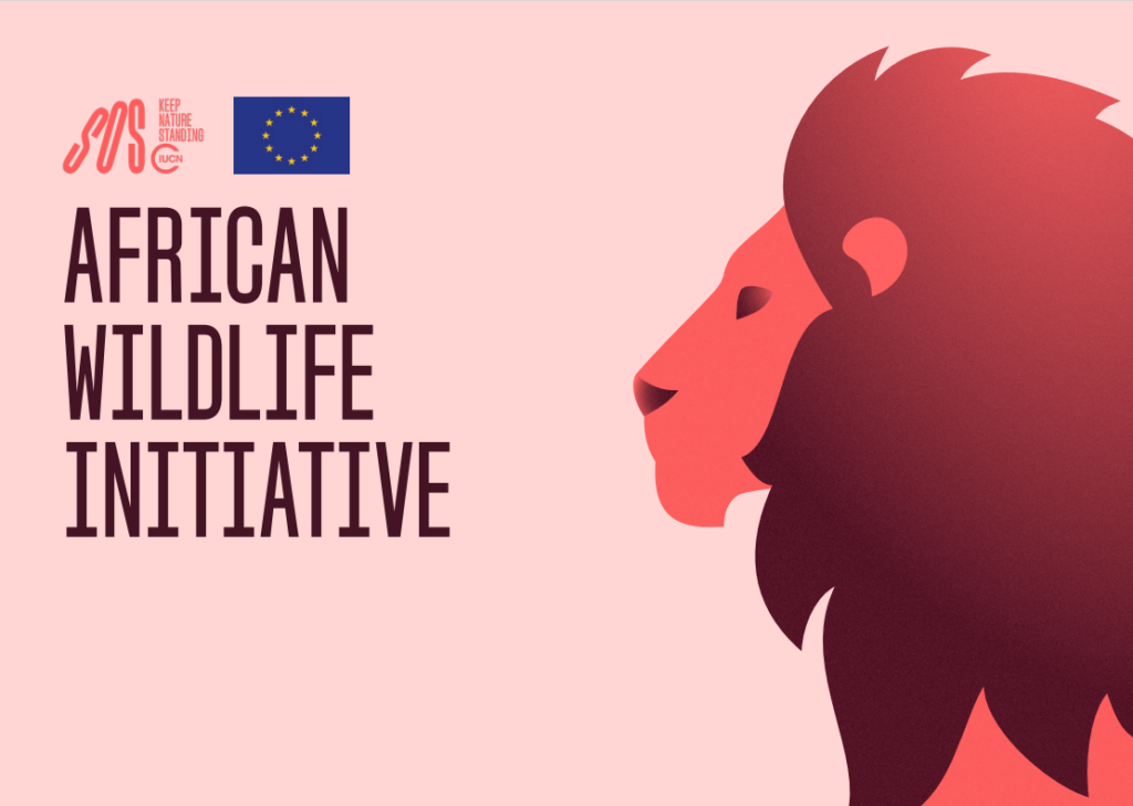 African Wildlife Initiative brochure cover