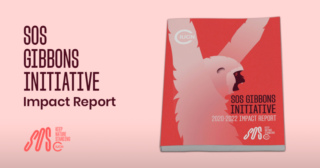 Gibbon impact report 01