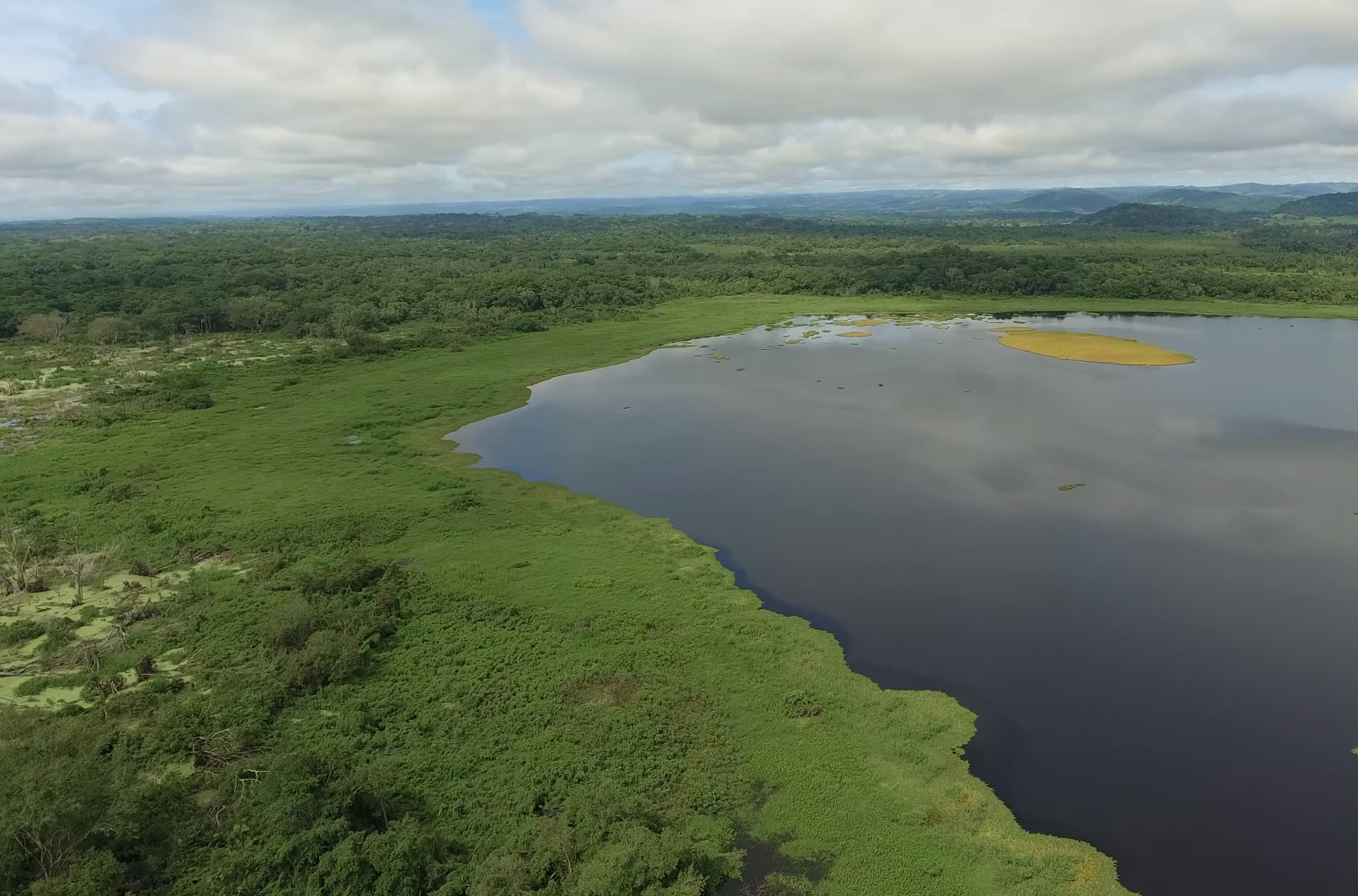 A holistic strategy for the conservation of the Barbudo IUCN SOS