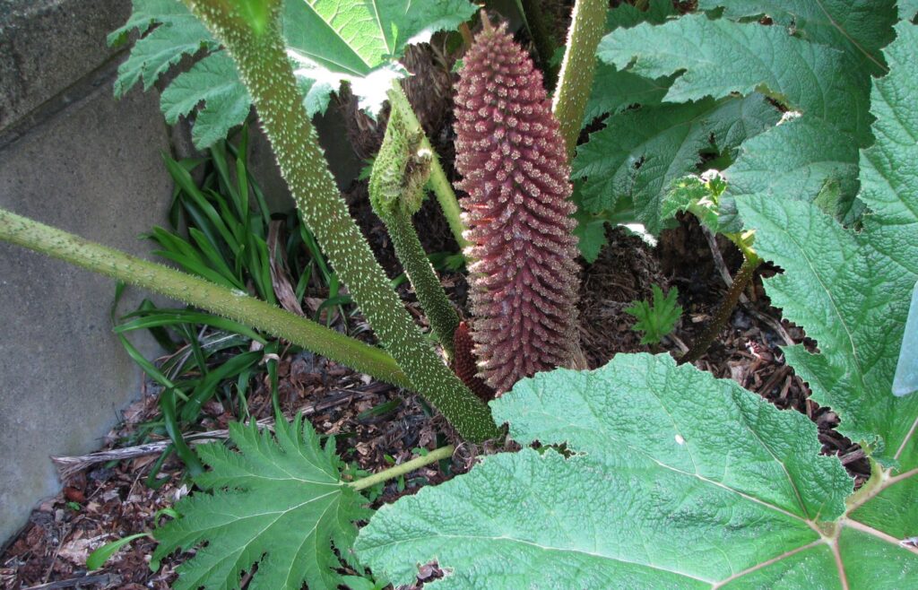 8870800651 aeace43eb4 k 1