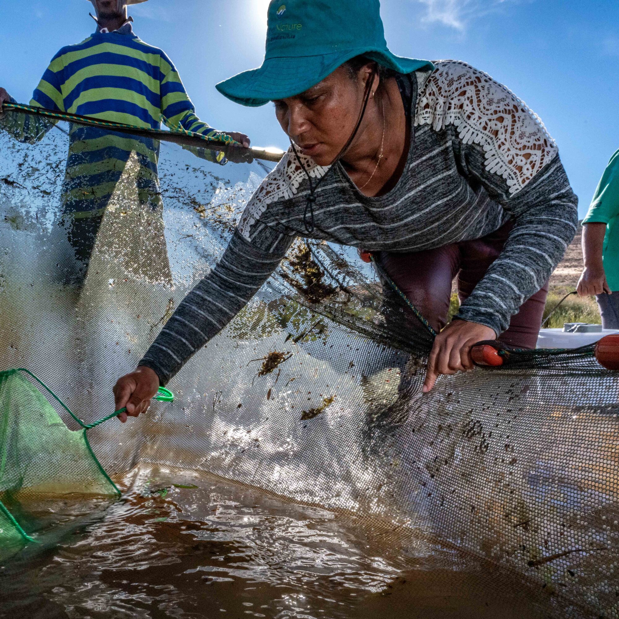 Woman carrying out conservation action work to safeguard the Clanwilliam Sandfish in the Biedouw River