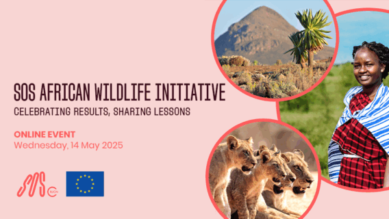 SOS African Wildlife Initiative Celebration Event