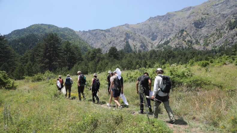 Empowering Europe's youth to protect pollinators and address biodiversity threats 1 People walk in a field with mountains in the background.