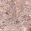 Arial image of Ladakh Urial in Pakistan