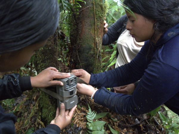 3. Camera trap workshop