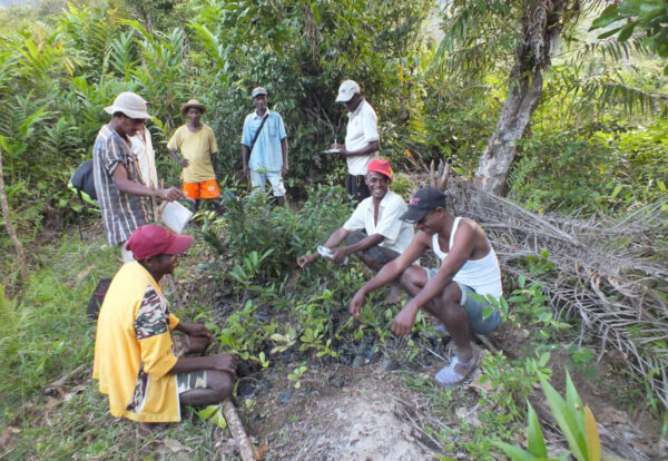 Forest restoration activities in Andriantantely Madagascar