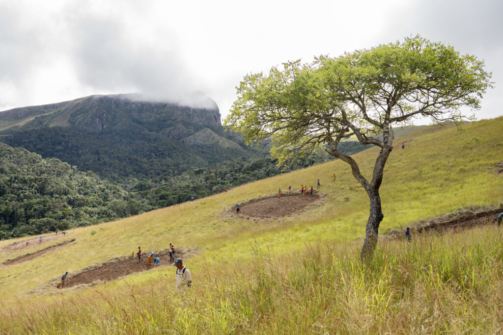 Foxholes Ivohiboro Madagascar