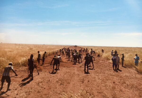 Clearing Firebreak Ankarafantsika Madagascar Planet-Madagascar