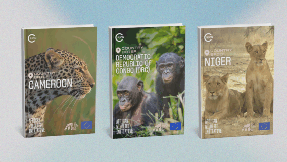 Country briefs Niger Cameroon DRC African Wildlife Initiative