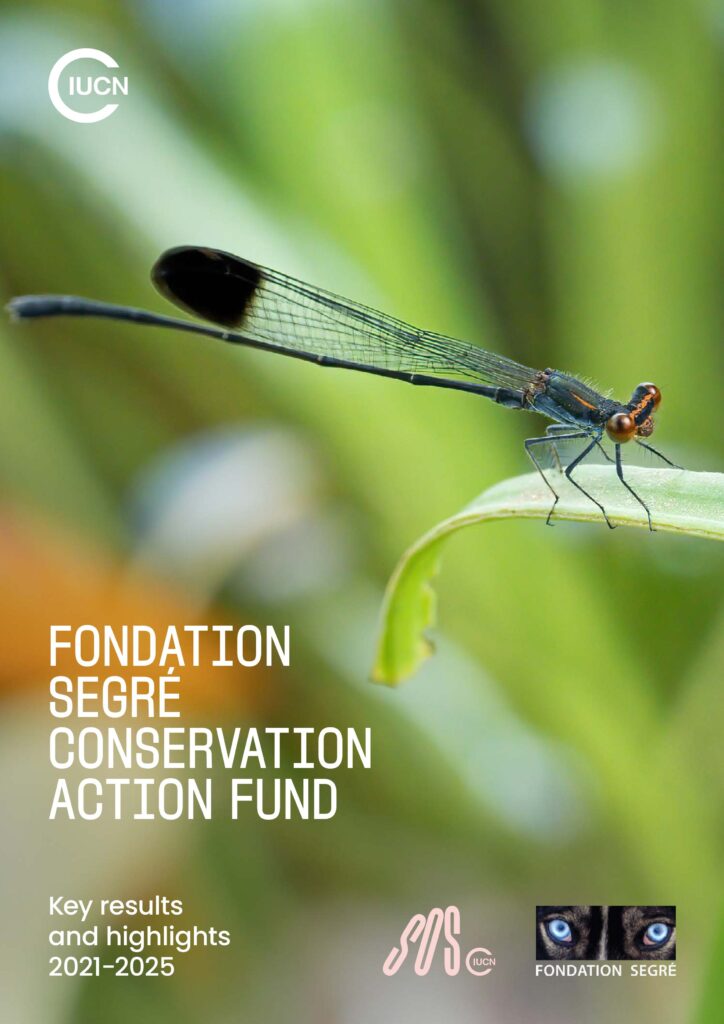FoundationSegre Impact report V3 comments pages 2