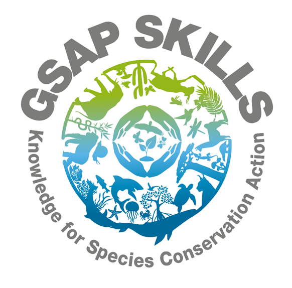 gsap skills logo