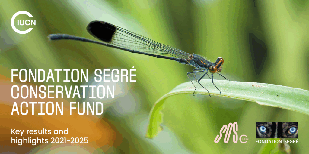 Five key takeaways for conservation action from the IUCN Congress 2025 3 FS impact report social 1