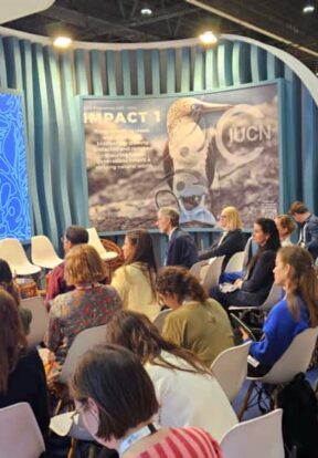 WhatsApp Image 2025 10 12 at 18.10.37 1