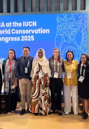 WhatsApp Image 2025 10 12 at 18.10.37