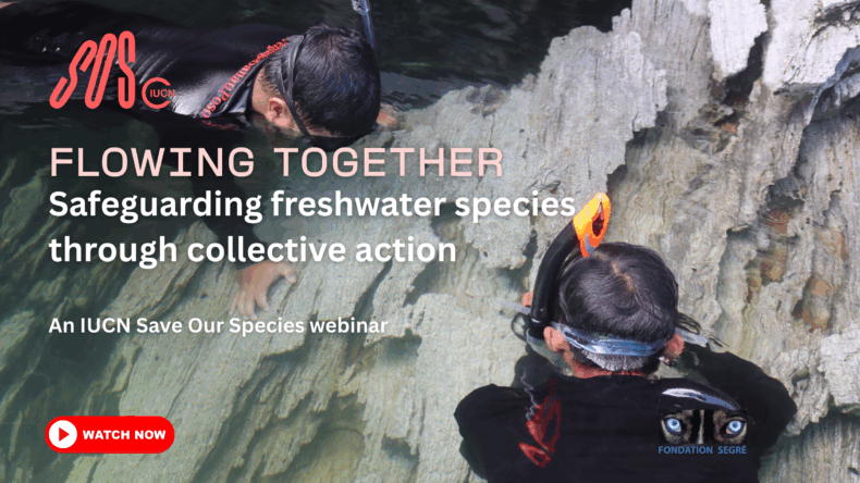 Flowing together YouTube Thumbnail