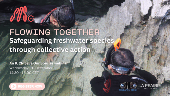 Webinar visual 790 x 444 px