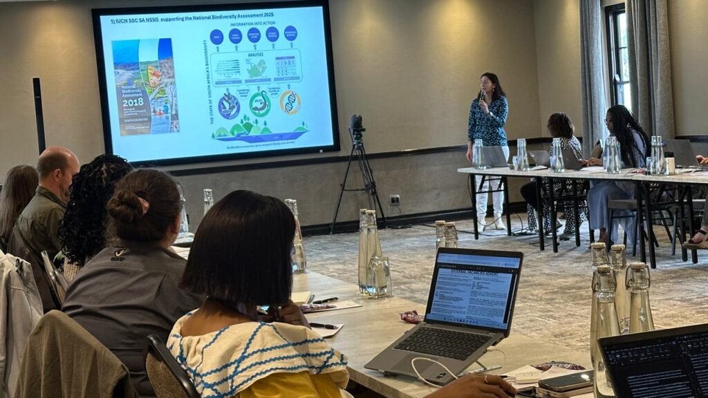 New IUCN SOS African Wildlife Initiative country brief spotlights species recovery and innovation in South Africa 3 WhatsApp Image 2025 09 25 at 20.02.46 4