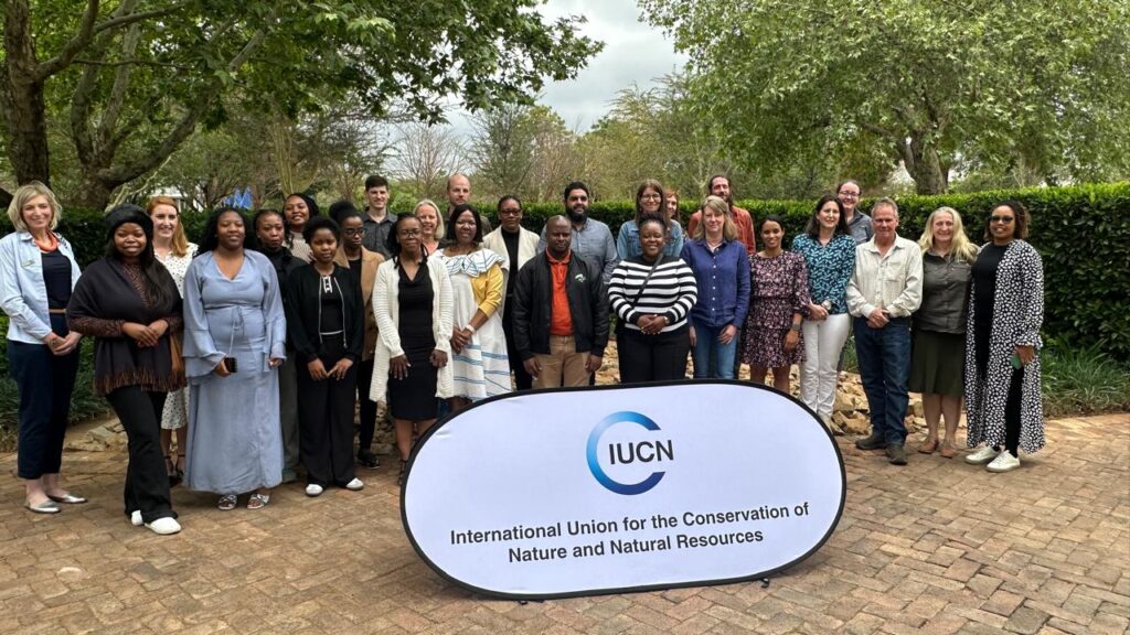 New IUCN SOS African Wildlife Initiative country brief spotlights species recovery and innovation in South Africa 2 WhatsApp Image 2025 09 25 at 20.03.11 1