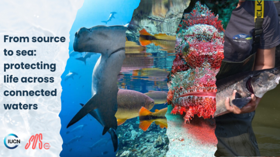 Looking back at 2025 Our year in review 8