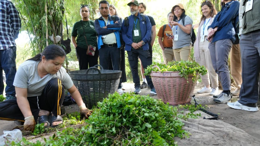 New regional insights signal stronger pathways for tiger conservation across Asia 2 image 1