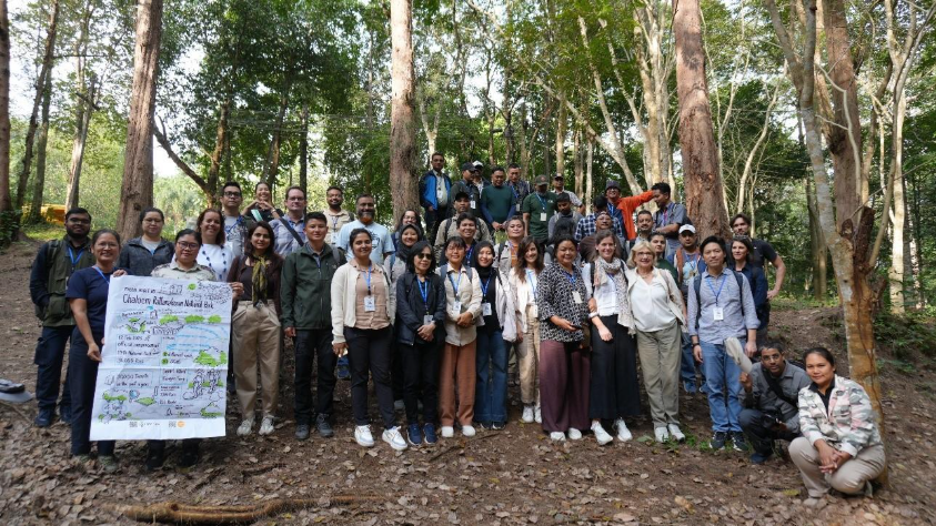 New regional insights signal stronger pathways for tiger conservation across Asia 3 image