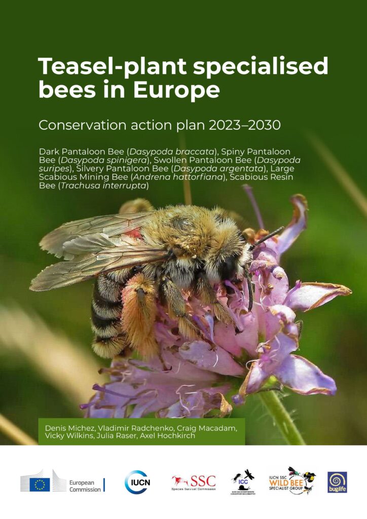 A conservation action plan to protect Europe’s teasel-plant bees 3 teasel plant specialised bees in europe KH0723142ENN 1 pages