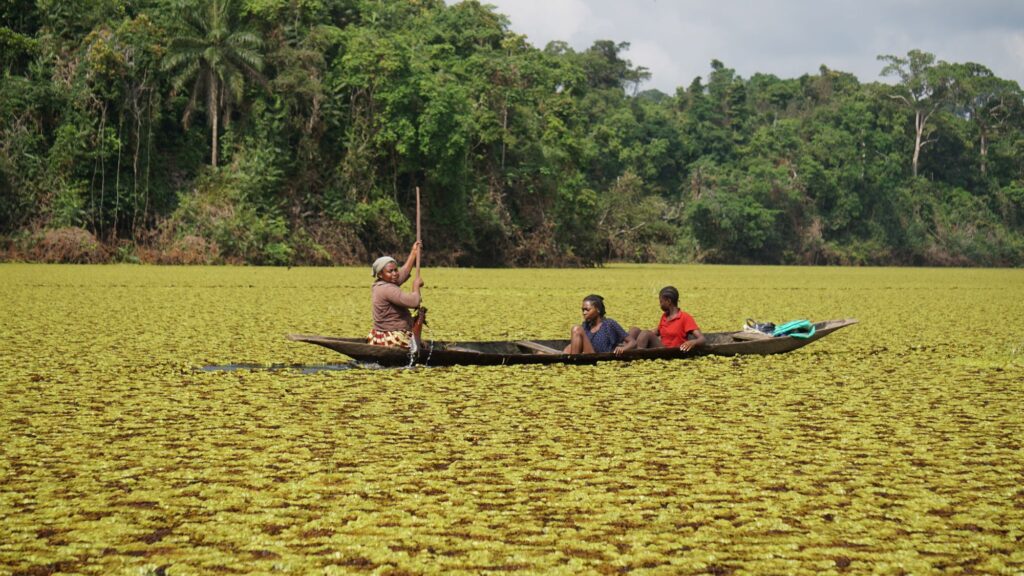 2019B 022 local community making their way through salvinia resized