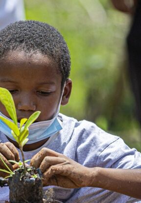 Child Planting