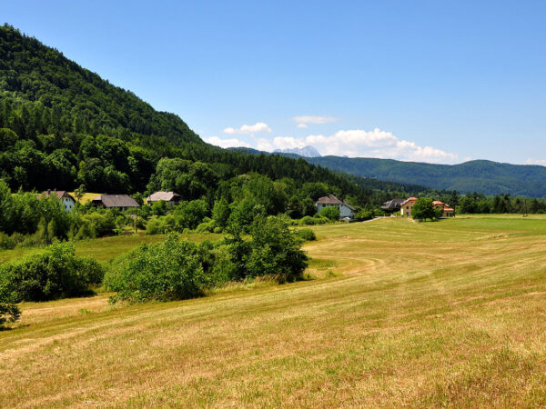 Johann Jaritz CC BY NC 2.0