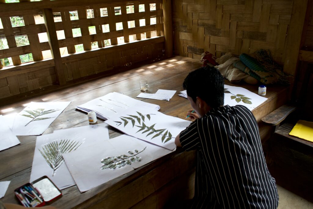 Our youth partner carefully crafting a herbarium capturing the unique flora of the region Photo WCS India