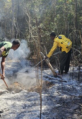 2026A 155 – Lutte anti feux Kirindy – Madagascar – Matthias Markolf