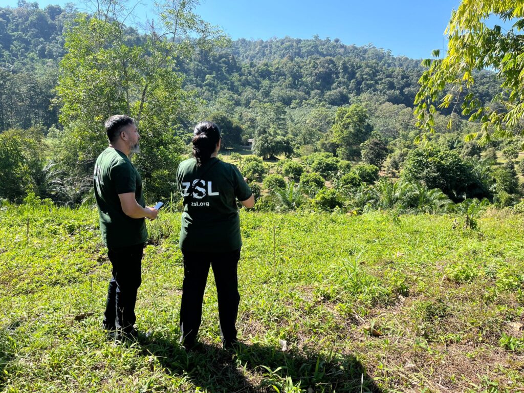 4506 ZSL ZSL Project Team Copyright Matthew Woolf 4