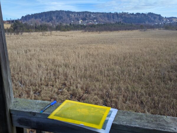 PXL 20260213 101243840