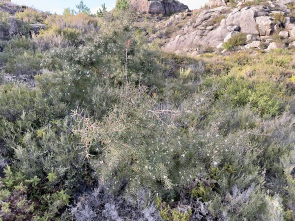 WhatsApp Image 2026 02 23 at 12.20.50