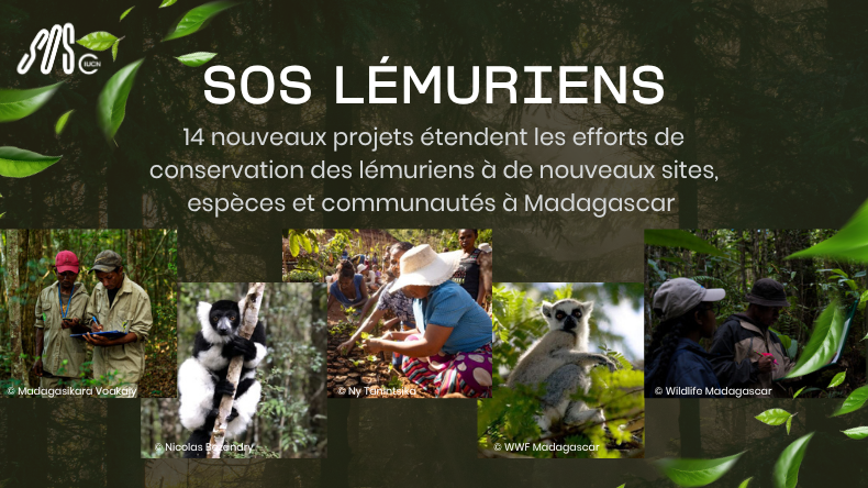 © Madagascar Biodiversity Center 6