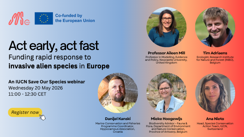 Webinar speakers 2