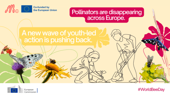World Bee Day: New momentum for pollinator conservation - News | IUCN
